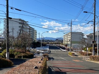 IMG_1431.jpg
