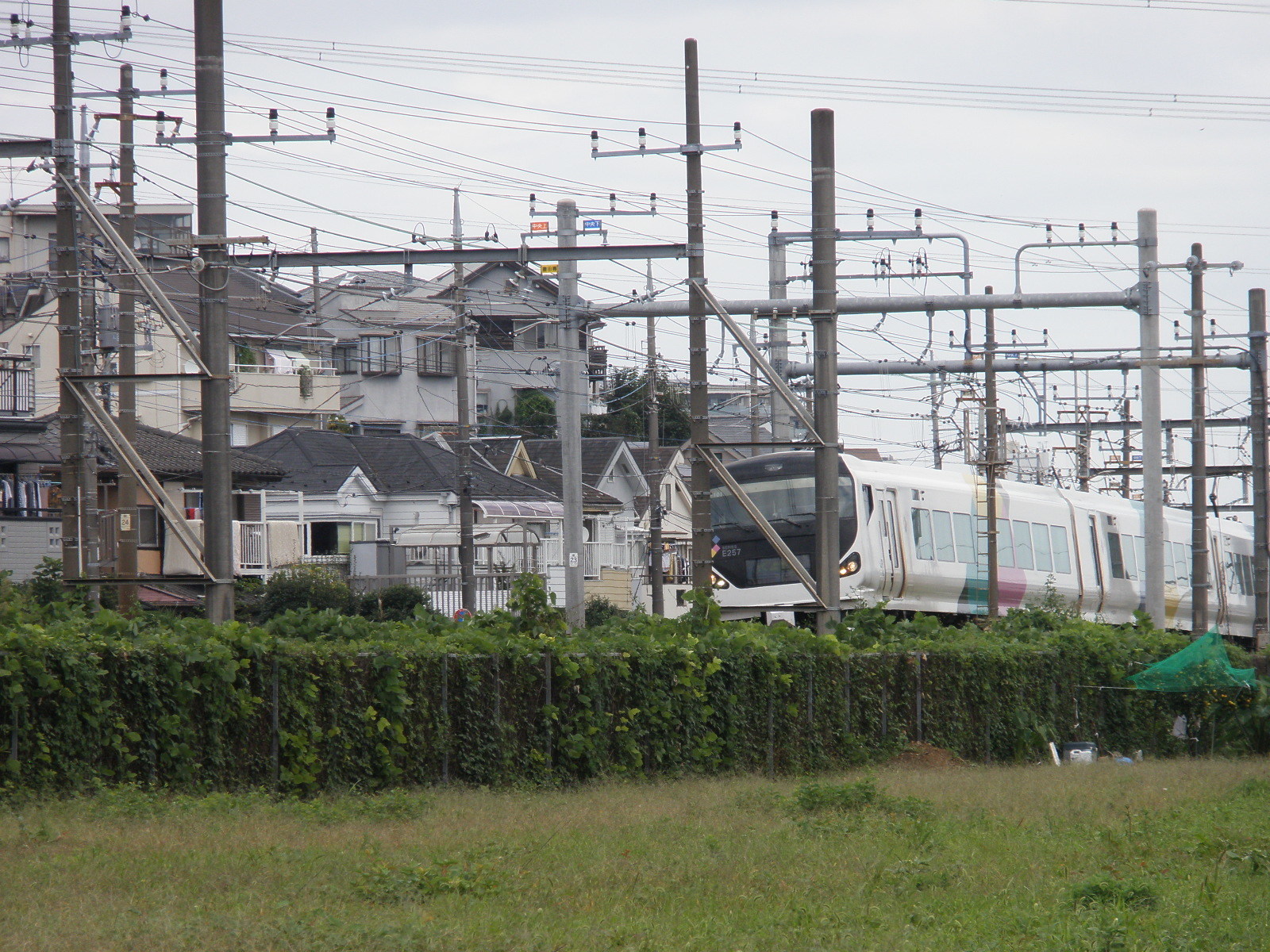 ぶらり散歩 Jr豊田電車区と特急あずさ わたしのギャラリー